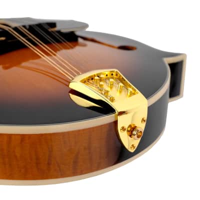 Gold Tone GM-70+ Mastertone F-Style Mandolin image 3