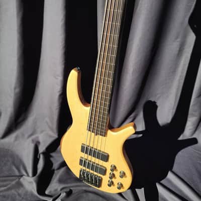 Overwater Progress Series IV Custom 5 String Fretless image 4