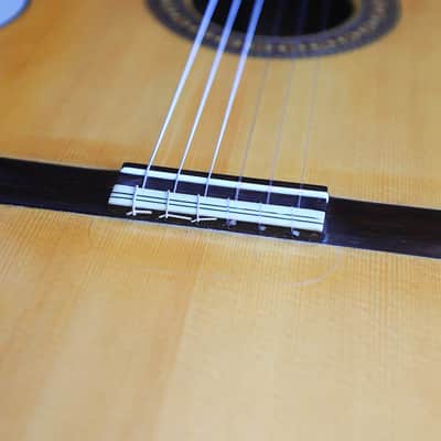 Jose Salinas 2019 "Negra" Flamenco Guitar - Exceptionally good sounding Guitar – Powerful & Expressive - Check Video! image 14