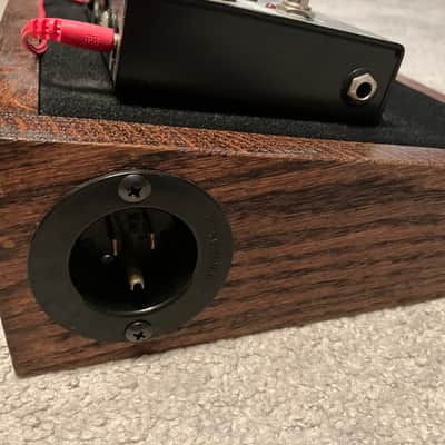 Custom Acoustic Guitar Pedalboard image 7