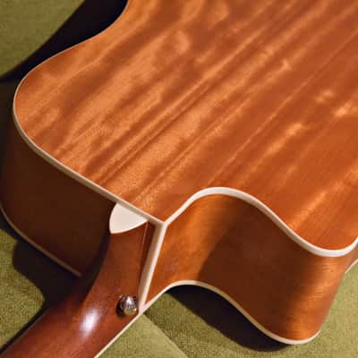 Nashville Guitar Works D10CE EB 2023 - Edgeburst image 9