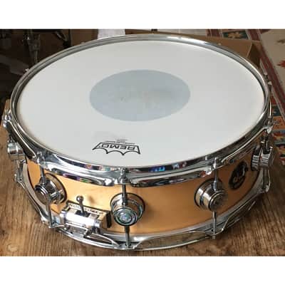 DW Collector's Series Maple 4.5x14" Snare Drum