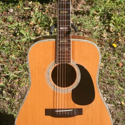 1975 Yairi YW-600 Dreadnought Guitar New Jacaranda Natural+Vintage Flight Case image 3