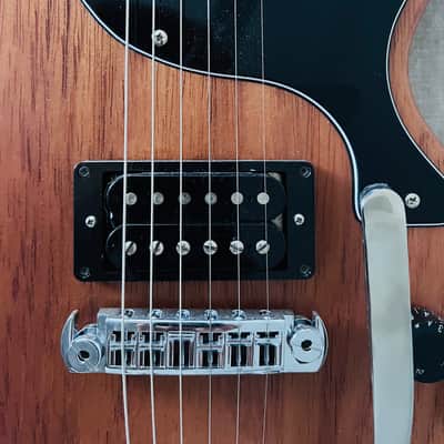 Gordon Smith GS 1.5 Double Cut, Bigsby B5, Gibson 57 Classic, Fender AV 65 Strat, Melody Maker image 3