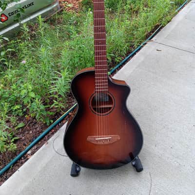 Breedlove Acoustic-Electric Guitar - Discovery Series image 1