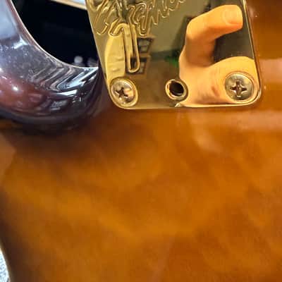 Fender USA Custom Shop Tree of Life Shultz-O-Caster 1992' image 13