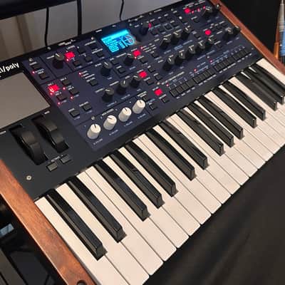 Korg Multi/Poly 37-Key Analog Modeling Synthesizer 2024 - Present - Black & Blue with Wood Sides image 3