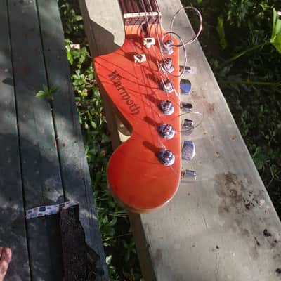 Custom Warmoth Strat Swamp Ash Birdseye Maple Indian Rosewood image 2