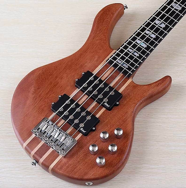 5 String Electric Bass, Ash Wood Top Body, Maple Neck Through Neck, 24 Frets Fingerboard image 1