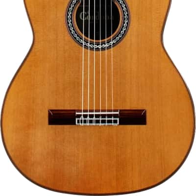 Cordoba C10 CD WC Classical Guitar, Solid Cedar Top image 2
