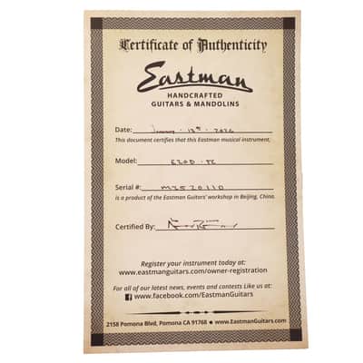 Eastman E20D-TC Dreadnought Acoustic image 9