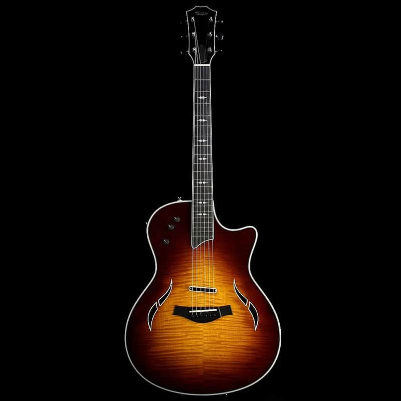 Taylor T5 Pro image 1