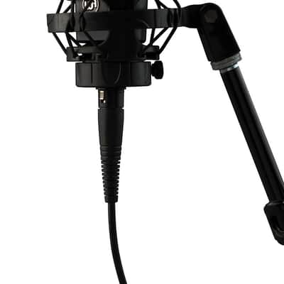 Warm Audio WA-14 Multipattern Brass Capsule Condenser Microphone image 2