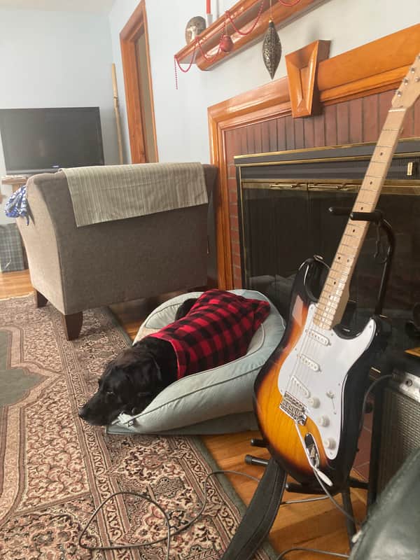Fender Custom Shop '55 Reissue Stratocaster NOS