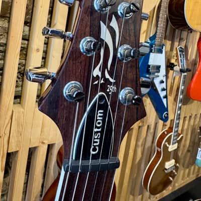 PRS 25th Anniversary Custom 24 10-Top 2010 - Angry Larry image 7