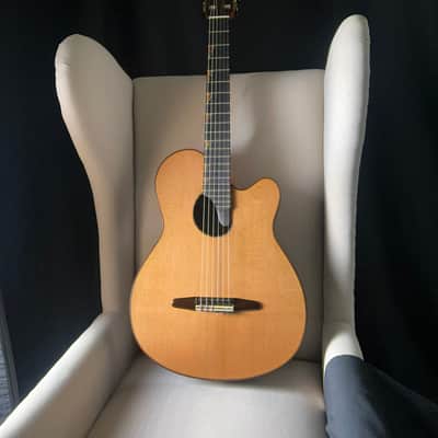Paul McGill Super Ace Nylon Classical Cutaway Brazilian Rosewood BAM Case image 18