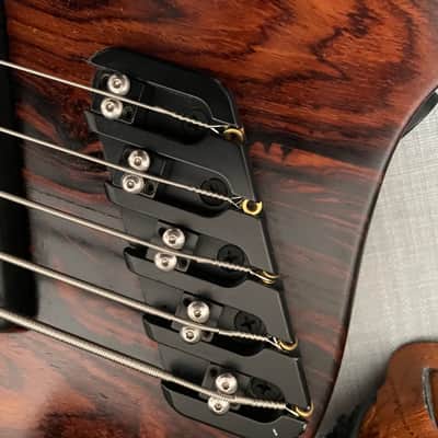 Dingwall Afterburner II 5 string bass Walnut image 4
