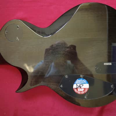 ESP LTD EC-1000 Piezo with Rosewood Fretboard 2017 - See Thru Black image 12