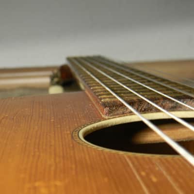 vintage Hofner Höfner 517 acoustic parlor guitar Gitarre chitarra Germany 1960s image 11