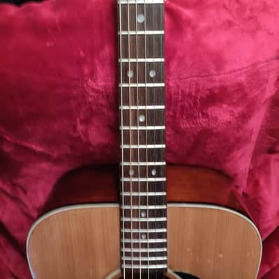 Aria Dreadnought lawsuit era 70s image 7