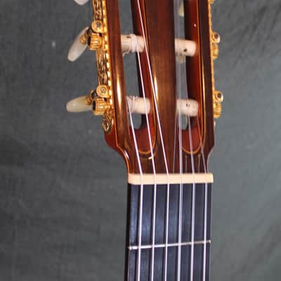 Kohno Concert Cedar 1986 Cashew varnish image 5