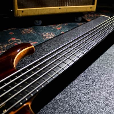 ALEMBIC MJLB5F Signature Standard 2010 image 5