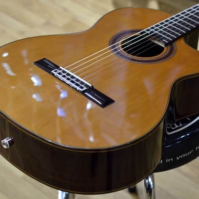 Cordoba Iberia C7-CE-Cedar Electro Nylon Guitar image 8