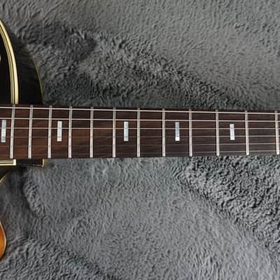 Teisco EP-14 1960s - Brown Burst Hollow Body Electric image 11