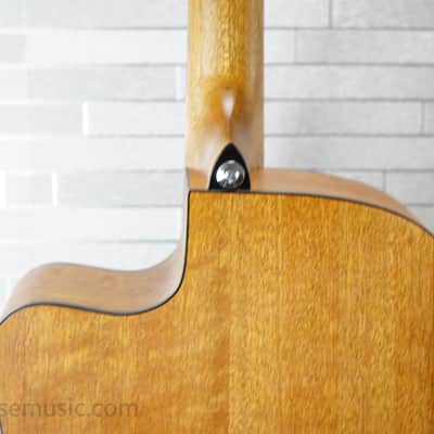 Ibanez PF50CE Open-Pore Trans Blue Sunburst image 10
