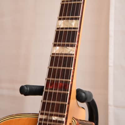 Rodebald Hoyer Jazzstar – 1958 Solid Wood German Vintage Archtop Jazz Guitar / Gitarre image 8