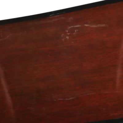 Vintage Tokai Gakki Japan DM12-5 12-string Acoustic Guitar Project image 17