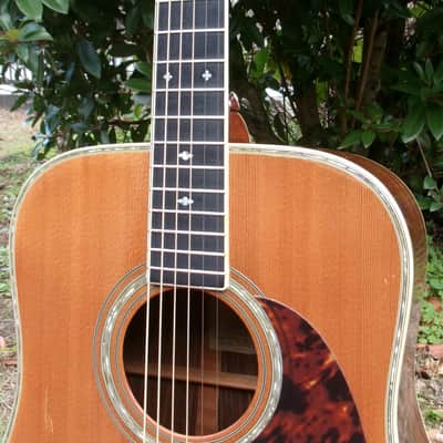 1981 Yairi D 35 YW-500P - Natural+Hard Case image 3