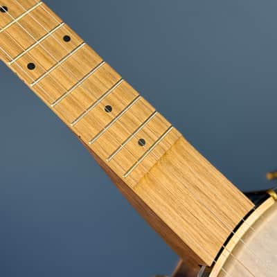 Pisgah Possum 11" 5-String Banjo with Persimmon Tone Ring Walnut Rim and Neck, Persimmon Fretboard image 14