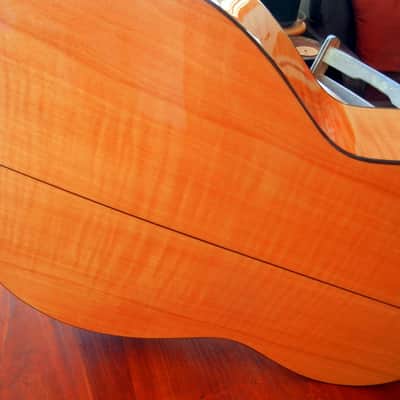 Lucida Artista Picado LG-725 flamenco guitar image 10