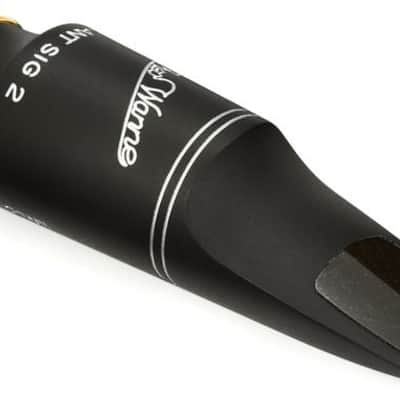 Theo Wanne Slant Sig 2 Tenor Saxophone Mouthpiece - 7* image 2