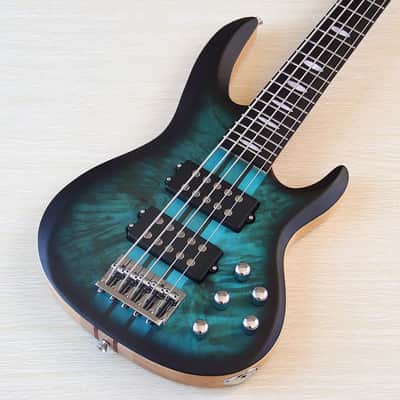 Blue Custom 5 String Electric Bass, Burl Wood Top Ash Body, Maple Neck Through image 1