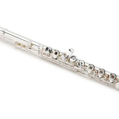 Di Zhao Flutes DZ 801 Intermediate Flute with Split E Mechanism image 2