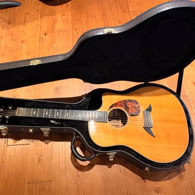Breedlove Performance Focus D 2010 image 3