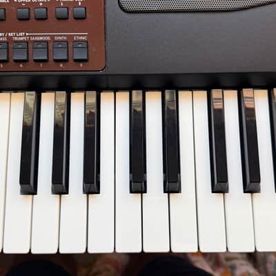 Korg Pa700 OR Professional Arranger - Oriental 61 Key image 4