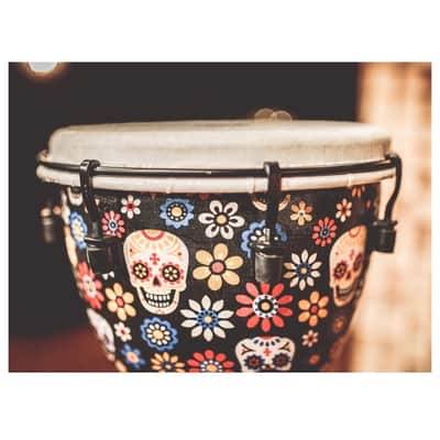 Meinl 10" Alpine Series Djembe, Day of the Dead ADJ10-DA image 2