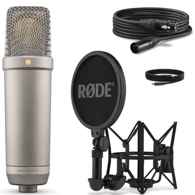 RODE NT1 5th Generation Large-Diaphragm Studio Condenser Microphone with 32-Bit Float Digital Output and XLR and USB Connectivity (Silver) image 3