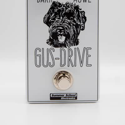 Summer School Electronics Gus-Drive image 1