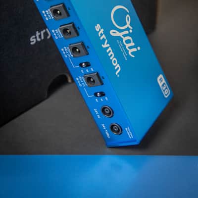 Strymon Ojai R30 image 4