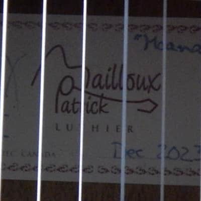 Patrick Mailloux spruce double top/ elevated fretboard/arm rest/sound port image 8
