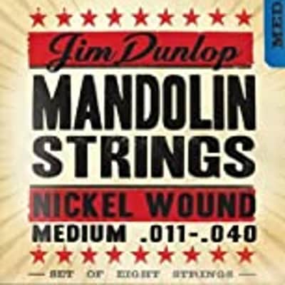 .24 Phosphor Bronze Mandolin String image 1