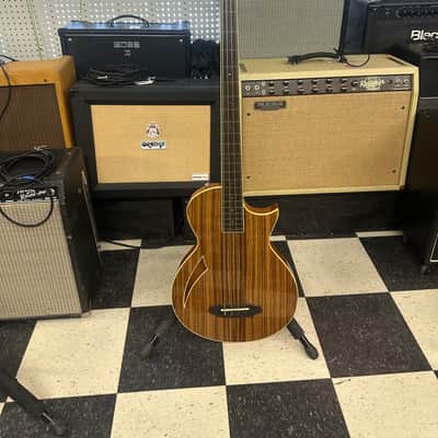 ESP LTD TL-4Z Fretless Hollowbody 2017 - 2018 - Natural Gloss image 2