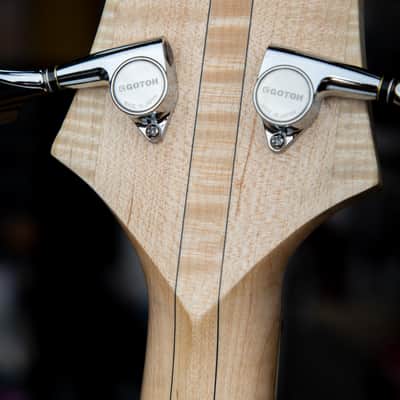 Solano Speed Shop 2025 969B-Coupe Ash Top Single Cut Bass image 5