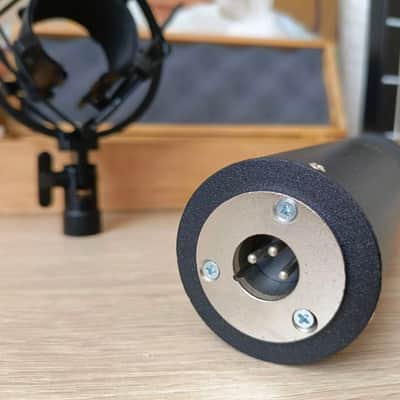 Mint Bash Audio RM BIV-3 Double-ribbon microphone XLR image 12