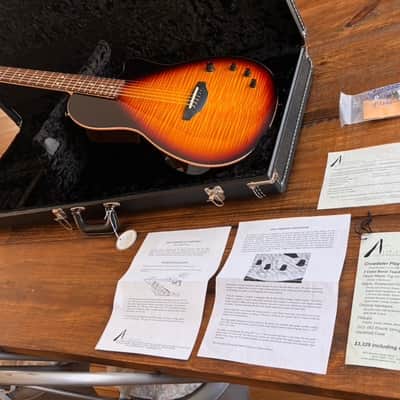 Tom Anderson Guitarworks Crowdster Player image 12