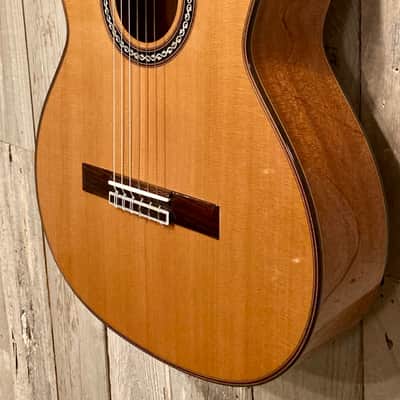 New Cordoba C9 Cedar Classical Natural, Stunning Guitar, Support Small Business & Buy it Here ! image 4